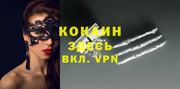 спиды Пестово