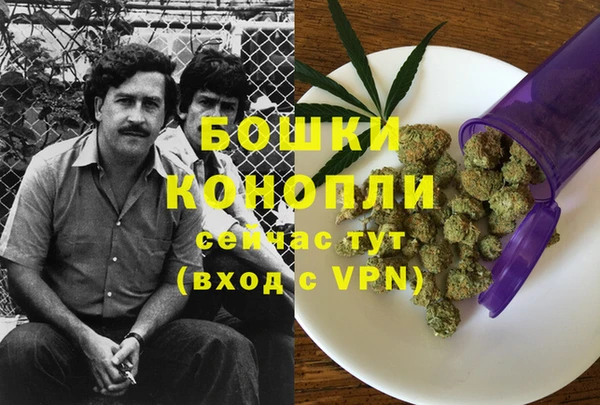 спиды Пестово