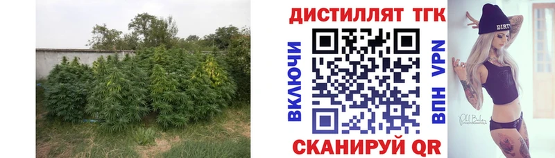 Дистиллят ТГК концентрат  Богородск 