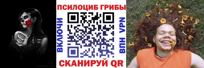 Псилоцибиновые грибы мицелий  площадка Telegram  Богородск 