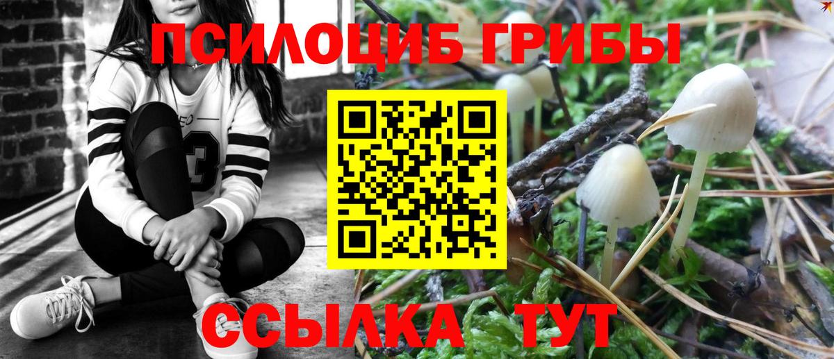 Псилоцибиновые грибы Magic Shrooms Богородск