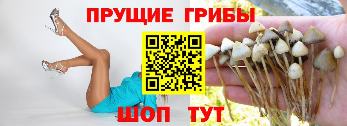 Псилоцибиновые грибы прущие грибы  Богородск  Галлюциногенные грибы Magic Shrooms 