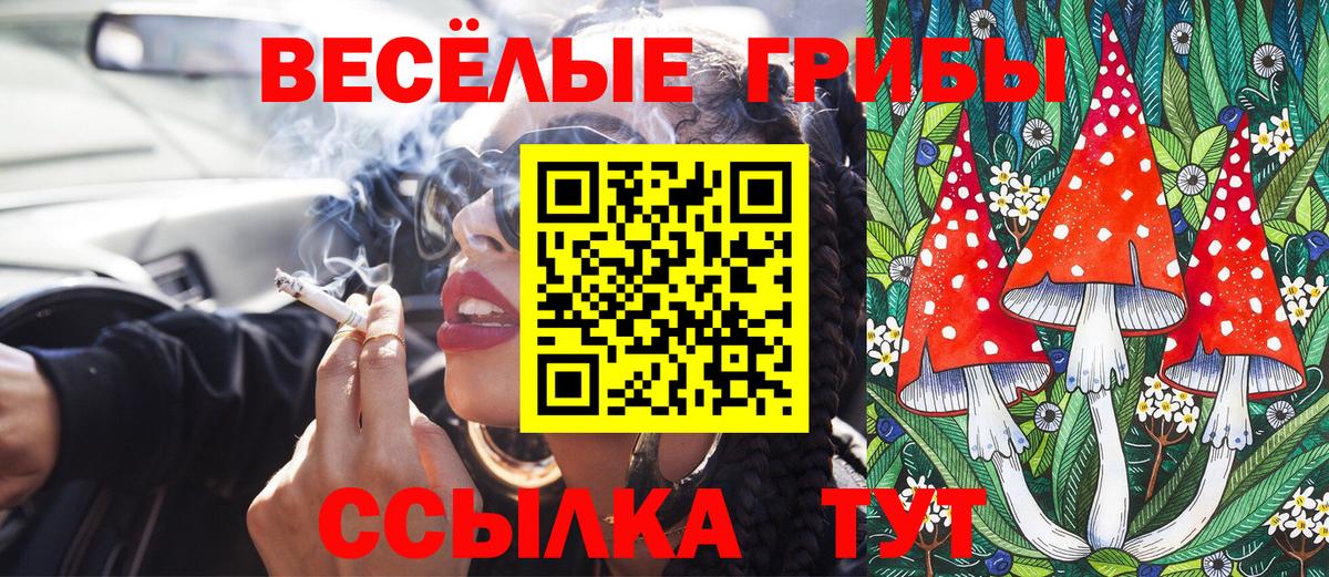 Псилоцибиновые грибы GOLDEN TEACHER  Вход с VPN  Богородск 